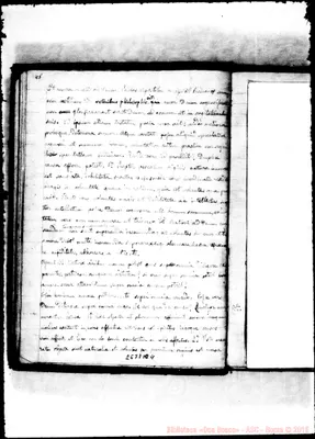 Fotogramma C 4
