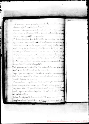 Fotogramma C 6