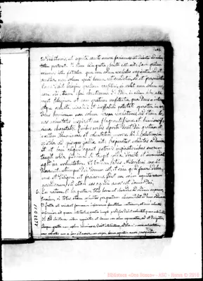 Fotogramma D 11