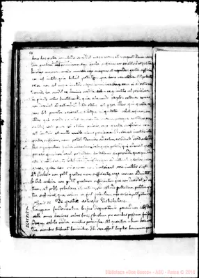 Fotogramma B 8