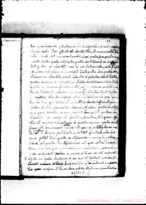 Fotogramma C 5