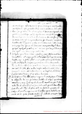 Fotogramma C 7