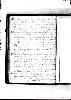 Fotogramma D 8