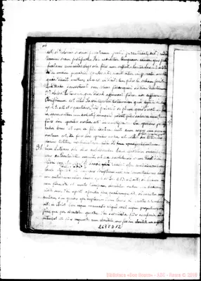 Fotogramma D 12