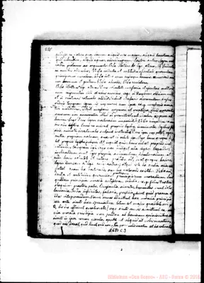Fotogramma C 3