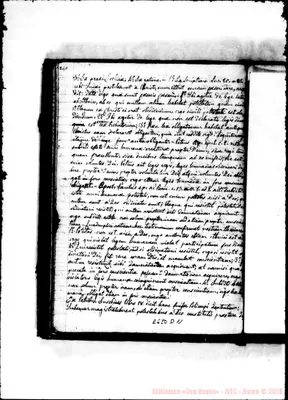 Fotogramma D 11
