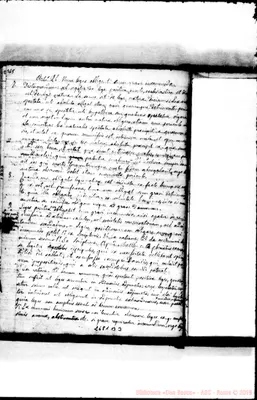 Fotogramma B 3