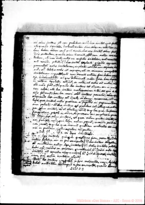 Fotogramma D 3