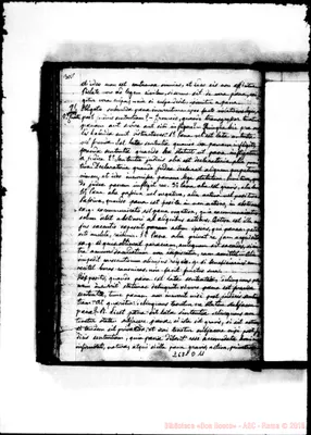 Fotogramma D 11