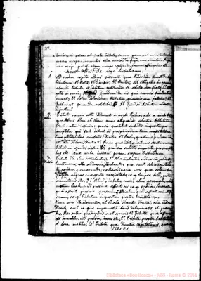 Fotogramma E 1