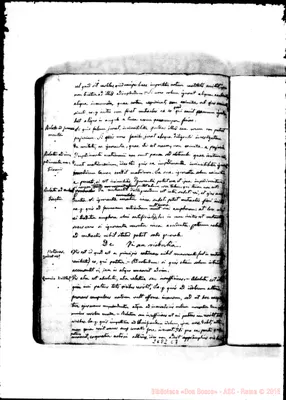Fotogramma C 7