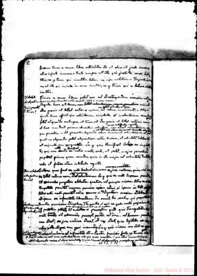 Fotogramma C 11