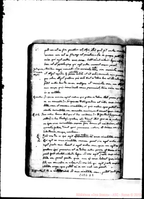 Fotogramma D 9