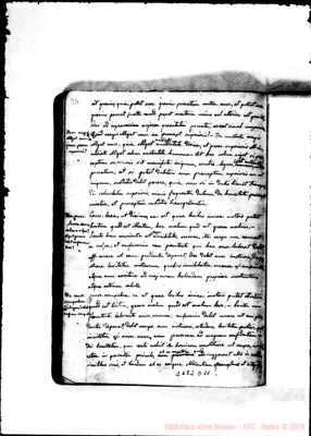 Fotogramma D 11