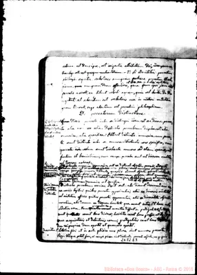 Fotogramma E 7