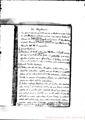 Fotogramma D 8
