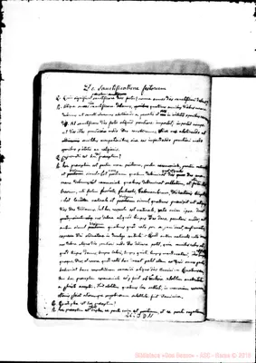 Fotogramma D 11