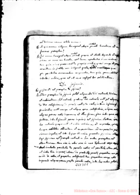 Fotogramma E 5