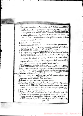 Fotogramma E 8