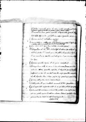 Fotogramma B 6