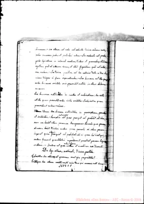 Fotogramma C 1