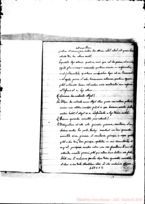 Fotogramma C 2