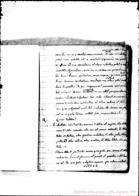 Fotogramma D 2