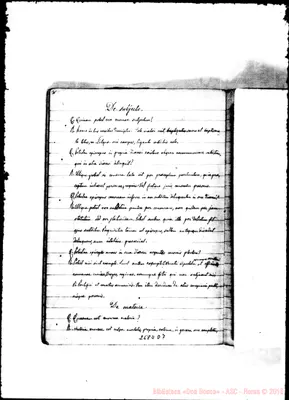 Fotogramma D 7
