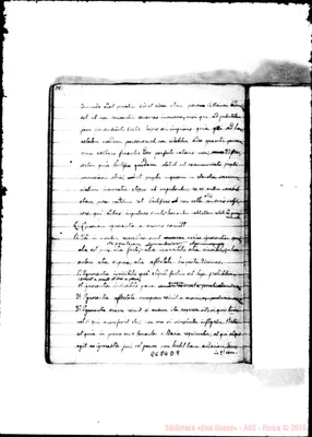 Fotogramma D 9