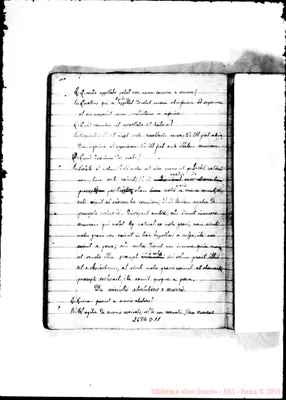Fotogramma D 11