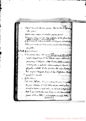 Fotogramma C 5
