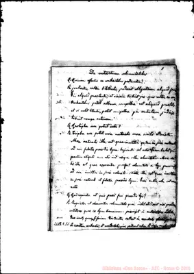 Fotogramma E 11