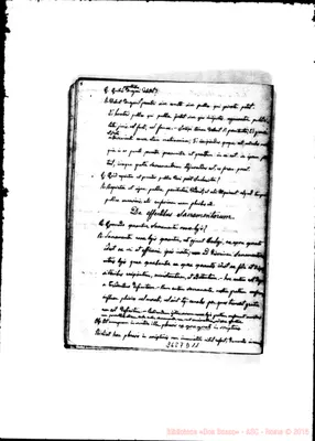 Fotogramma D 11