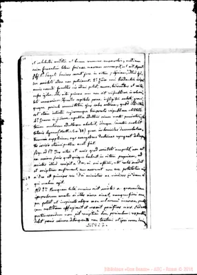 Fotogramma C 7