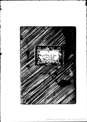 Fotogramma D 12