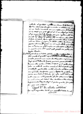Fotogramma D 11