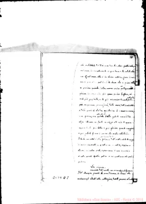 Fotogramma D 8
