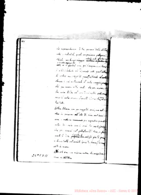 Fotogramma D 11