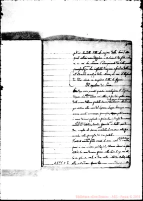 Fotogramma C 8