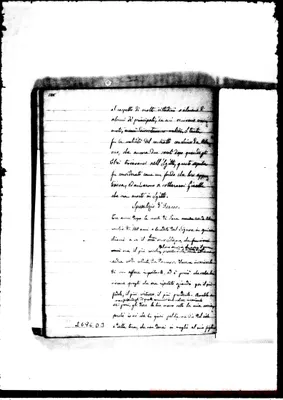Fotogramma D 3