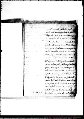 Fotogramma D 11