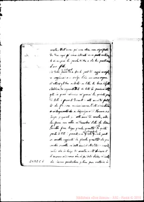 Fotogramma C 5