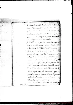 Fotogramma D 11