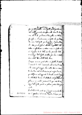 Fotogramma E 10