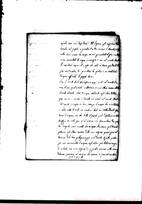 Fotogramma E 8