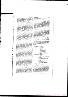 Fotogramma E 1