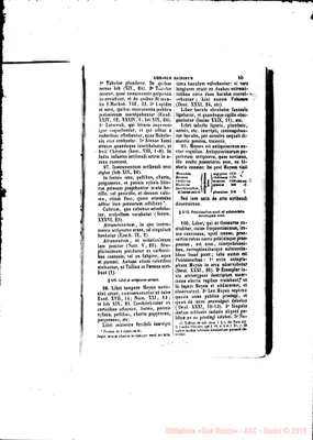 Fotogramma B 6