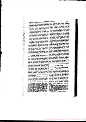 Fotogramma A 1