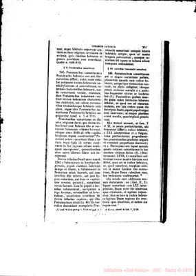 Fotogramma C 11