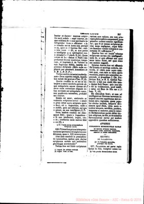 Fotogramma D 5